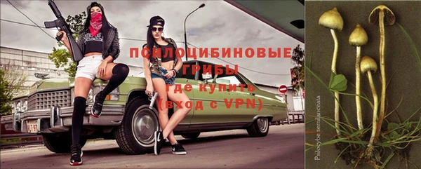 крисы Аркадак