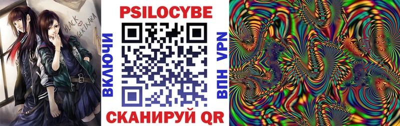 МЕГА ССЫЛКА  Протвино  Псилоцибиновые грибы MAGIC MUSHROOMS 